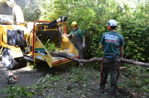 tree services Mulberry